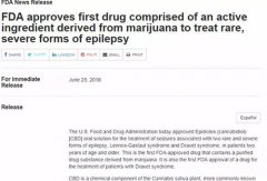 美国看病,抗癌治疗方法