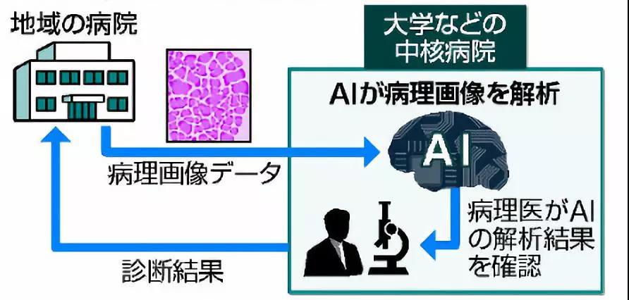 日本胃癌筛查