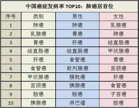 日本体检
