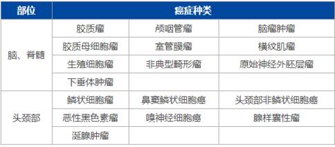 日本质子治疗