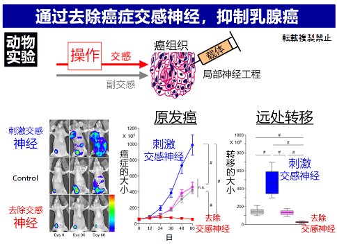 味觉、听觉与写作，AI不动声色地步入我们的生活