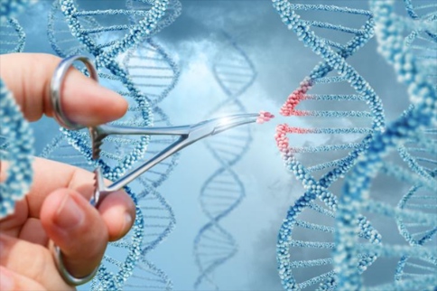 基因编辑技能为治疗各种遗传疾病带来了曙光
