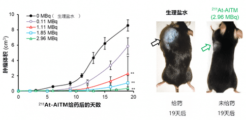 出国看病：日本研发出治疗恶性黑色素瘤的新方法！