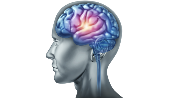 出国看病：研究发现大脑损伤后会形成新的神经束，或可治疗脑部疾病