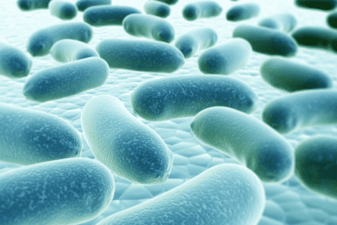出国看病：细菌耐药性应该如何解决？美国新研究指明方向