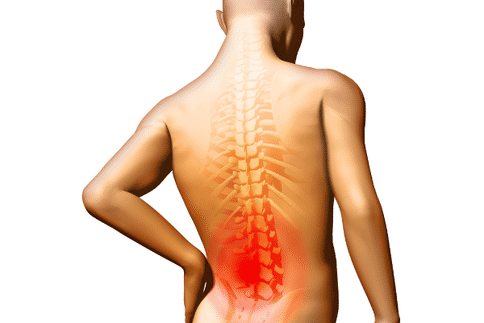 印第安纳大学的研究人员确定了改善脊髓损伤后的功能恢复的潜在目标