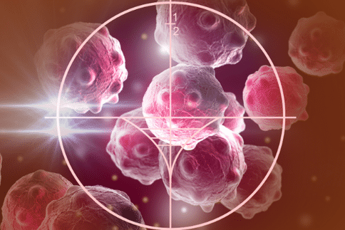 新的抗体组合可以更有效地摧毁肿瘤，为癌症免疫治疗方法提供新希望