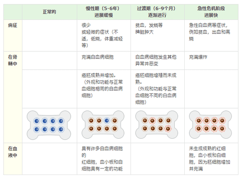 什么是慢性骨髓性白血病?日本如何治疗慢性骨髓性白血病?