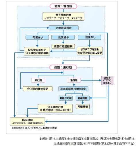 日本是如何治疗慢性髓性白血病的?