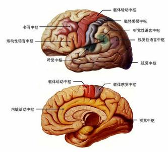 室管膜瘤的类型和治疗方法