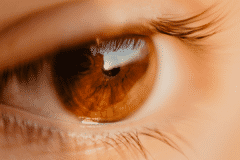 眼部肿瘤治疗技术,眼睑肿瘤类型,眼睑肿瘤治疗方