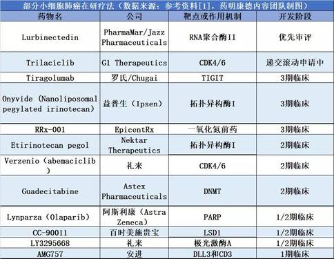 小细胞肺癌治疗方法
