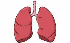 转移性肺癌治疗医院,质子治疗转移性肺癌,重离子