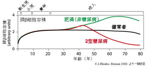 日本东京慈惠会医科大学附属医院