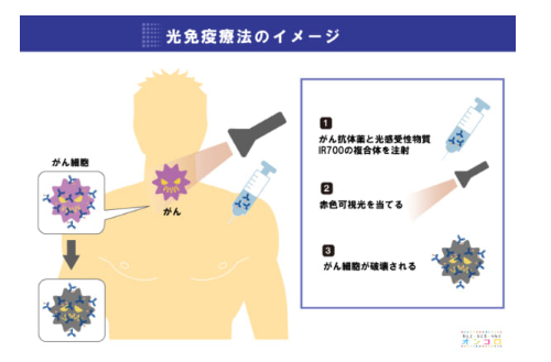 光免疫治疗方法方法