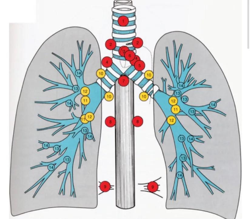 肺部有淋巴结是肺癌吗？