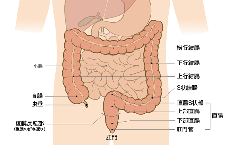 搜狗截图21年02月25日1635_1.png