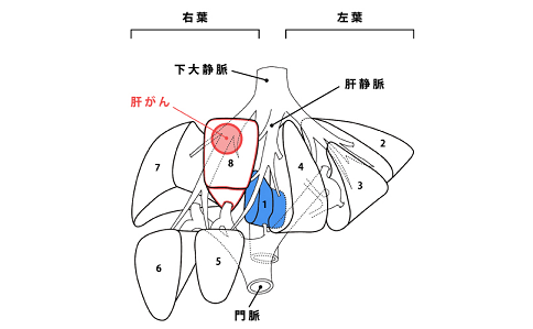 肝癌能活多久