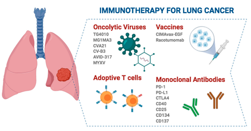 肺癌免疫治疗