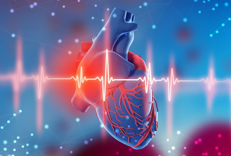 心脏瓣膜疾病治疗技术