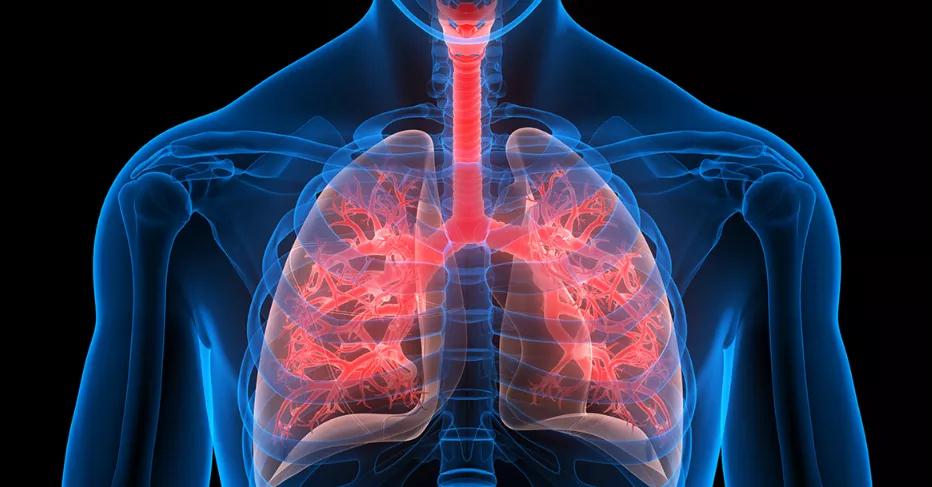 肺癌靶向治疗