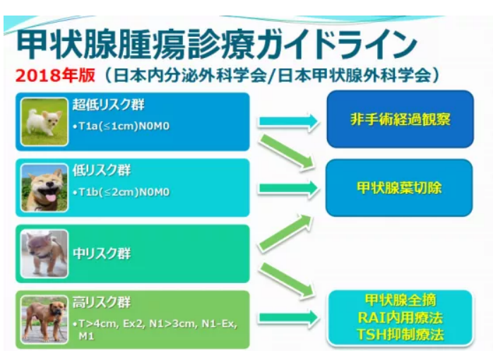 甲状腺癌个性化治疗