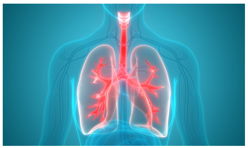 国际肺癌治疗
