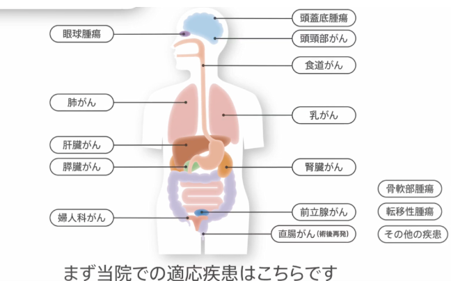 日本质子重离子治疗