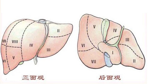 中晚期肝癌手术新辅助治疗