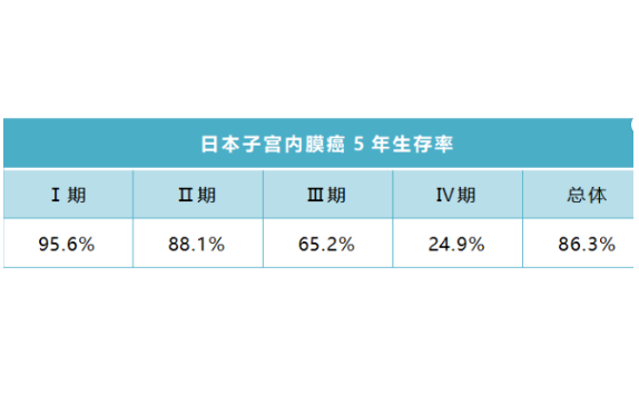 日本子宫内膜癌治疗