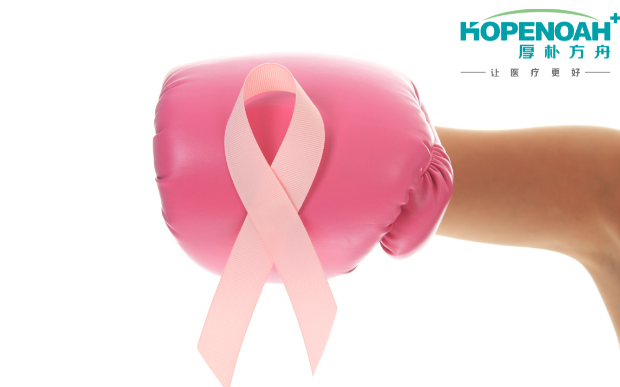 日本乳腺癌术后辅助治疗